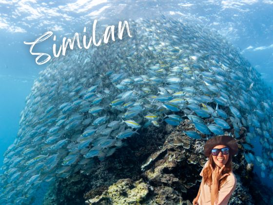 2027-01-26 Thailand Similan MV Tapana Catamaran  7D6N - Travel with Vicky 